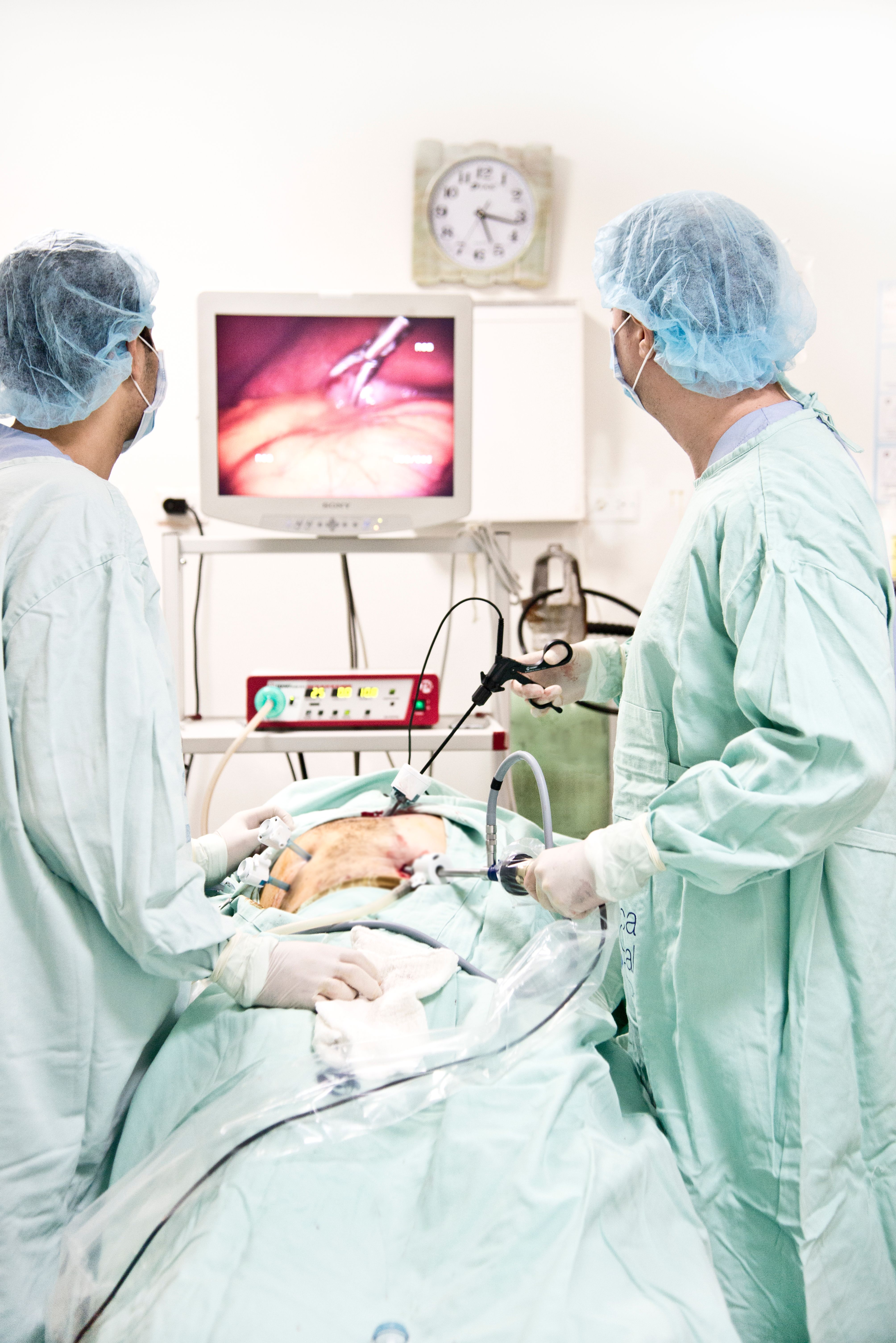 Therapeutic Endoscopy
